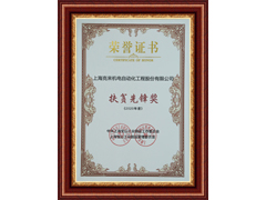 尊龙凯时机电扶贫先锋奖